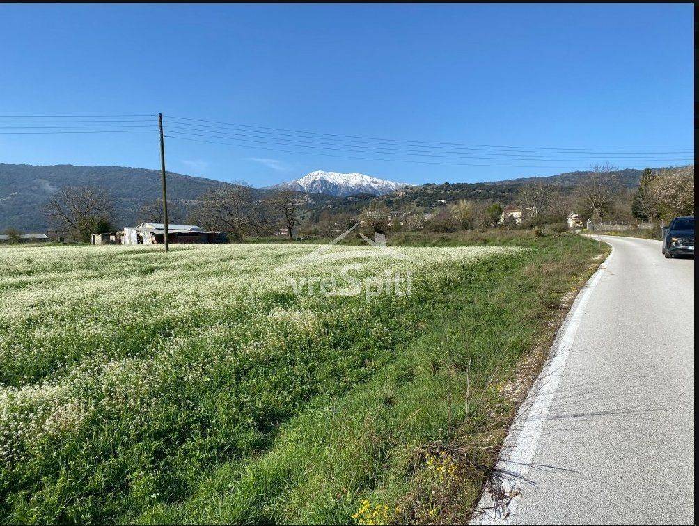 ΑΠΟΨΗ ΤΟΥ ΑΓΡΟΤΕΜΑΧΙΟΥ ΣΤΗΝ ΑΜΠΕΛΙΑ