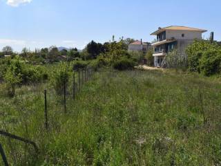 ΑΠΟΨΗ ΟΙΚΟΠΕΔΟΥ