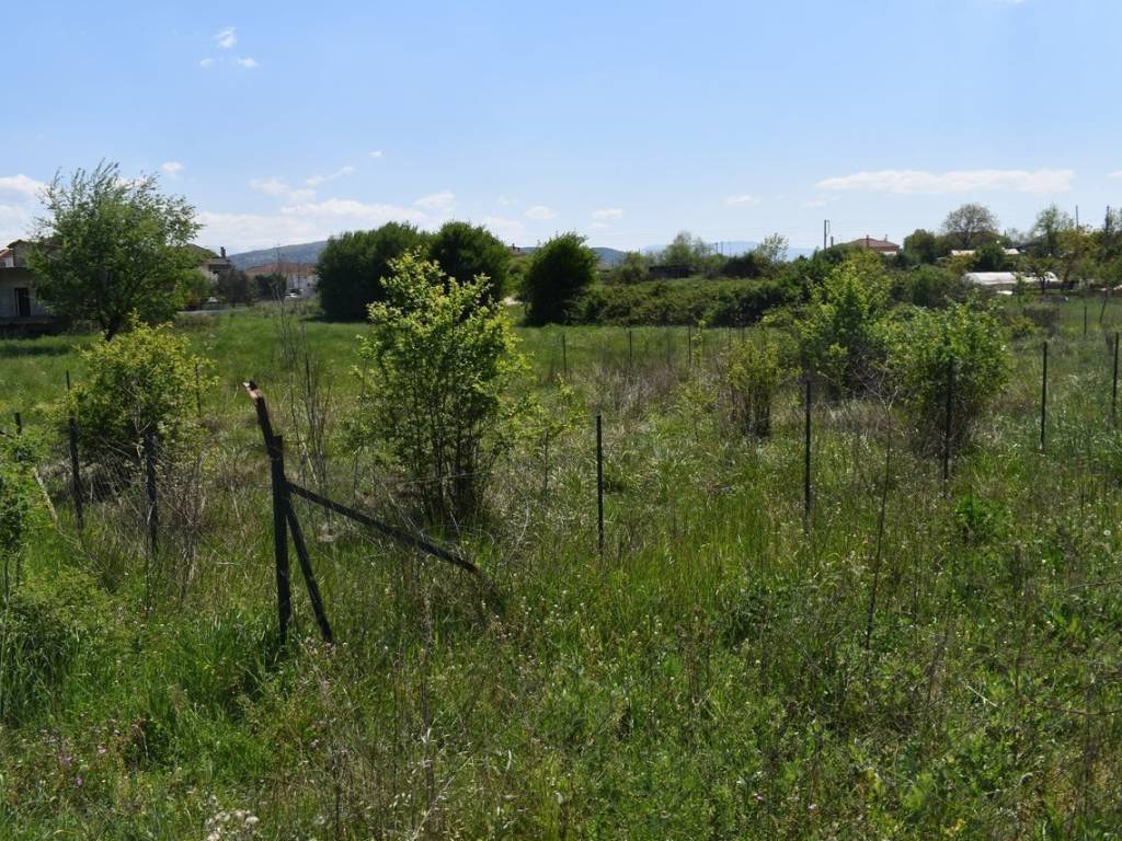 ΑΠΟΨΗ ΟΙΚΟΠΕΔΟΥ