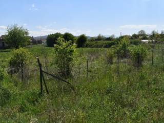 ΑΠΟΨΗ ΟΙΚΟΠΕΔΟΥ