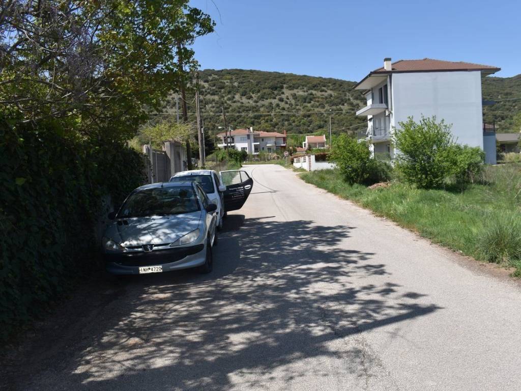 ΑΠΟΨΗ ΟΙΚΟΠΕΔΟΥ