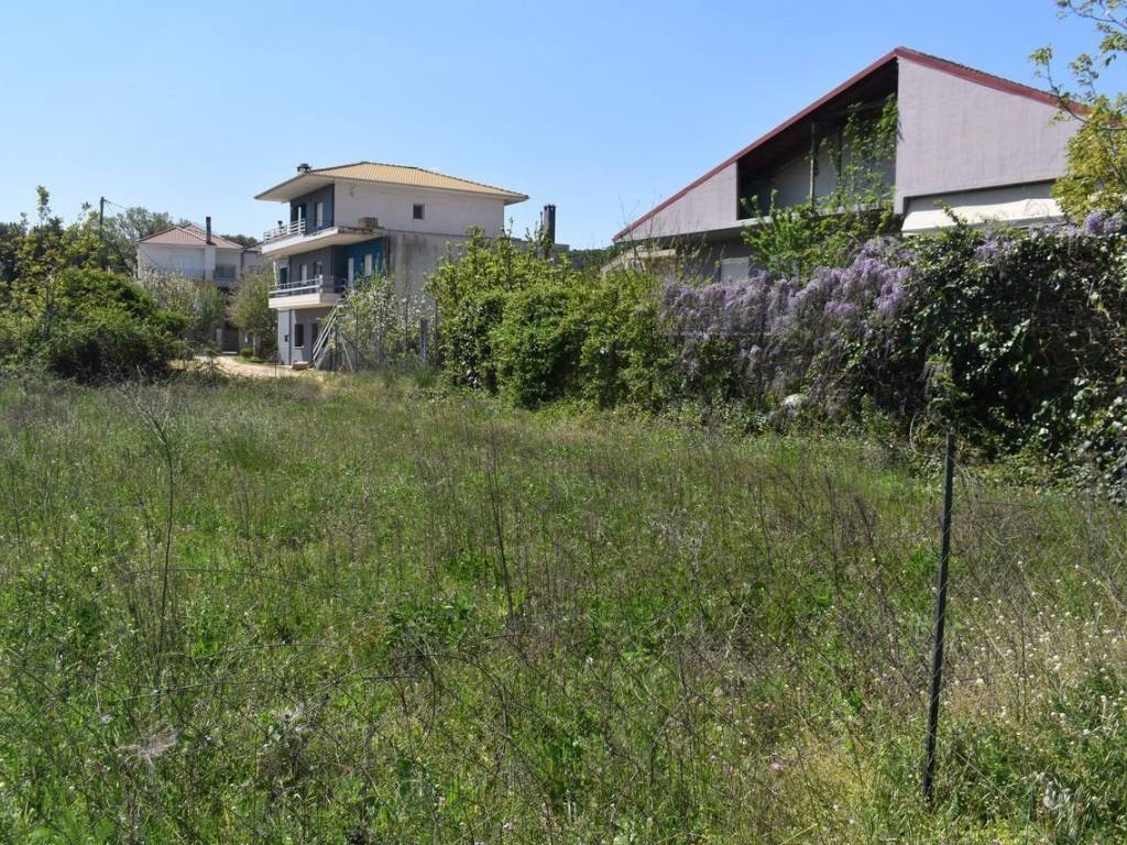 ΑΠΟΨΗ ΟΙΚΟΠΕΔΟΥ