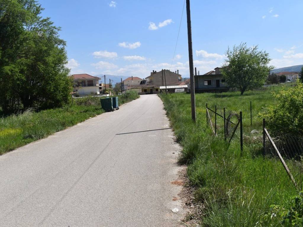 ΑΠΟΨΗ ΟΙΚΟΠΕΔΟΥ