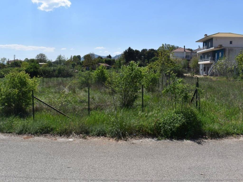 ΑΠΟΨΗ ΟΙΚΟΠΕΔΟΥ