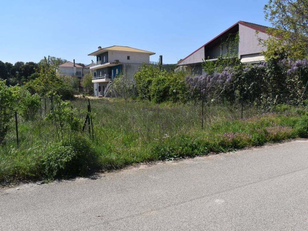 ΑΠΟΨΗ ΟΙΚΟΠΕΔΟΥ