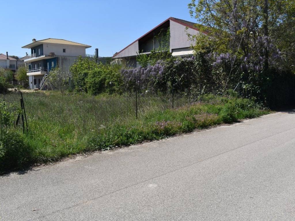 ΑΠΟΨΗ ΟΙΚΟΠΕΔΟΥ