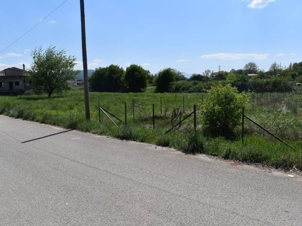 ΑΠΟΨΗ ΟΙΚΟΠΕΔΟΥ