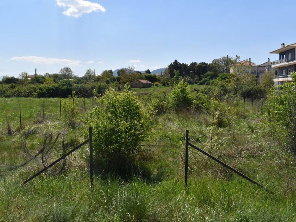 ΑΠΟΨΗ ΟΙΚΟΠΕΔΟΥ