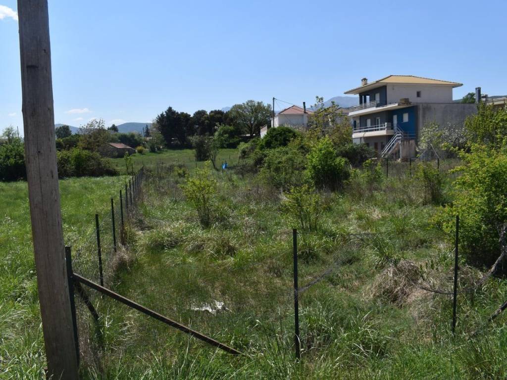 ΑΠΟΨΗ ΟΙΚΟΠΕΔΟΥ