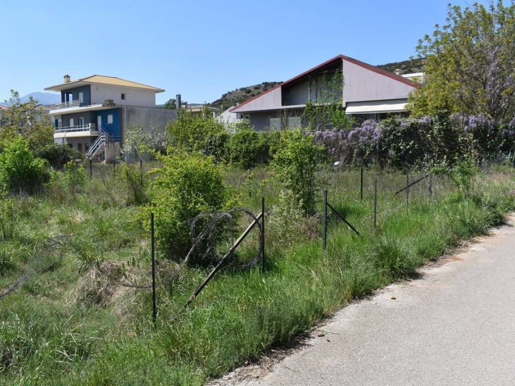 ΑΠΟΨΗ ΟΙΚΟΠΕΔΟΥ