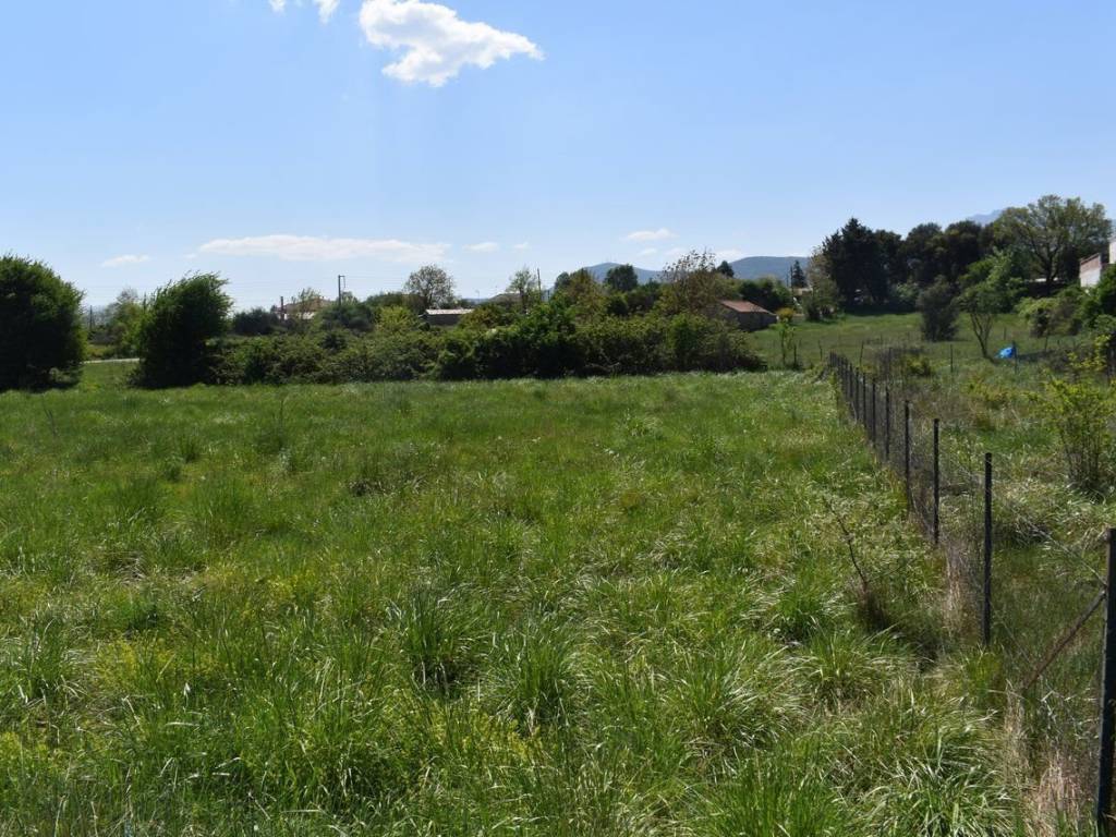 ΑΠΟΨΗ ΟΙΚΟΠΕΔΟΥ