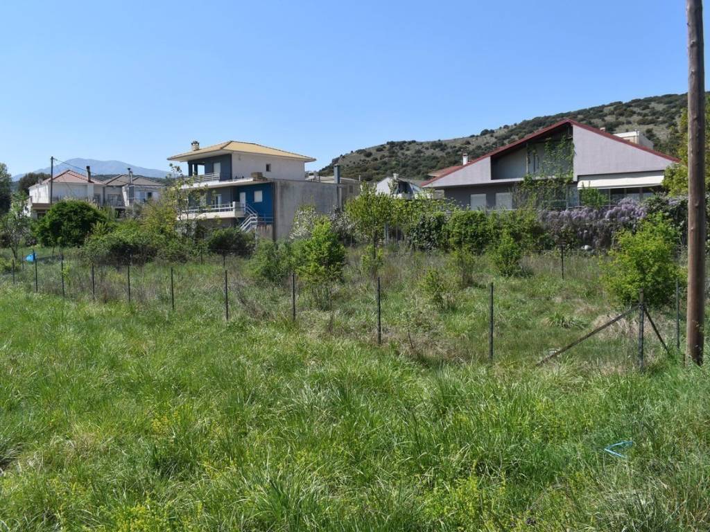 ΑΠΟΨΗ ΟΙΚΟΠΕΔΟΥ