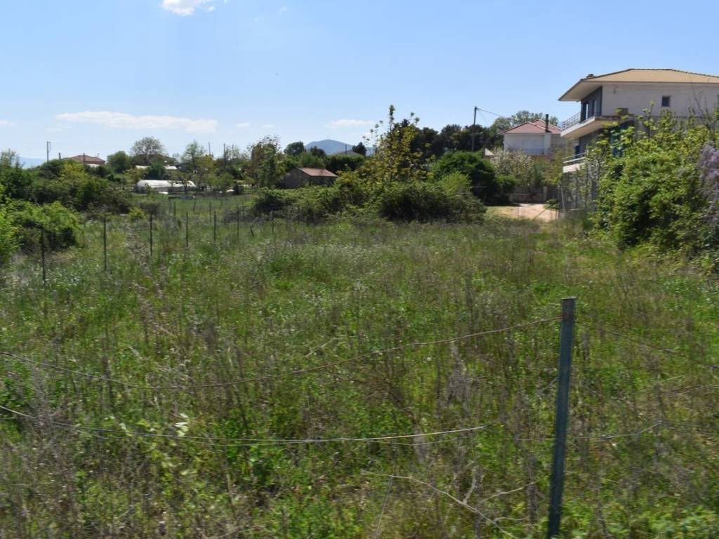 ΑΠΟΨΗ ΟΙΚΟΠΕΔΟΥ