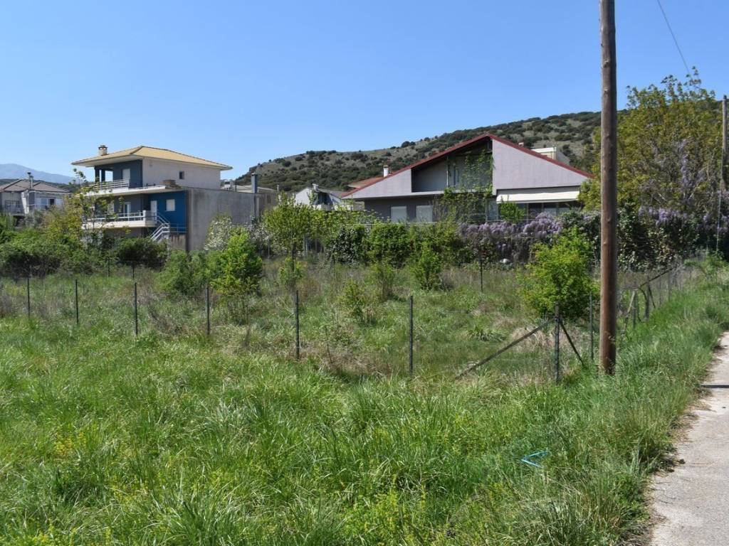 ΑΠΟΨΗ ΟΙΚΟΠΕΔΟΥ