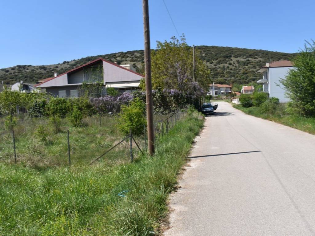 ΑΠΟΨΗ ΟΙΚΟΠΕΔΟΥ