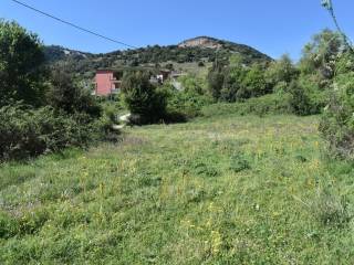 ΑΠΟΨΗ ΟΙΚΟΠΕΔΟΥ