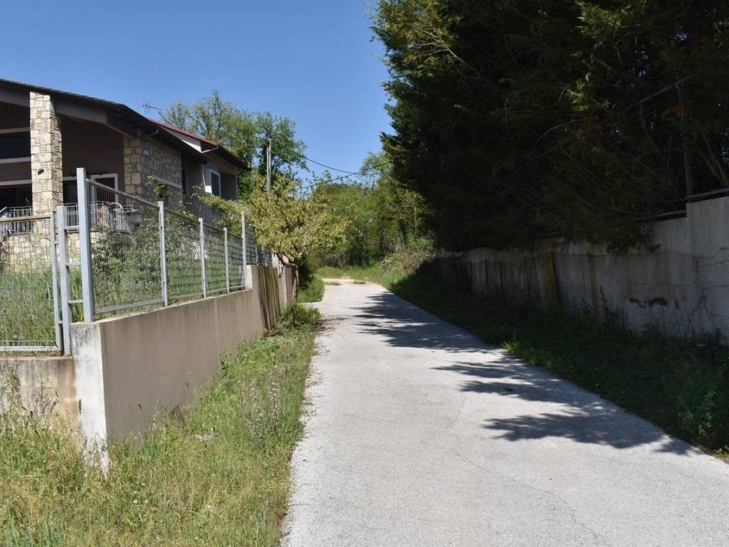 ΑΠΟΨΗ ΟΙΚΟΠΕΔΟΥ