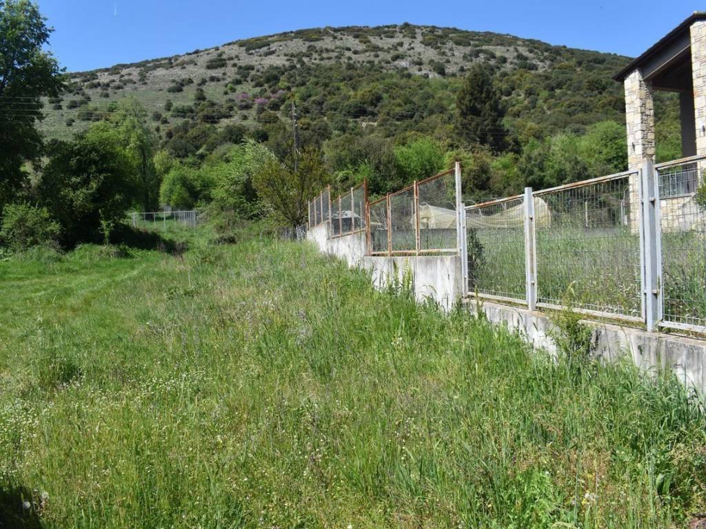 ΑΠΟΨΗ ΟΙΚΟΠΕΔΟΥ