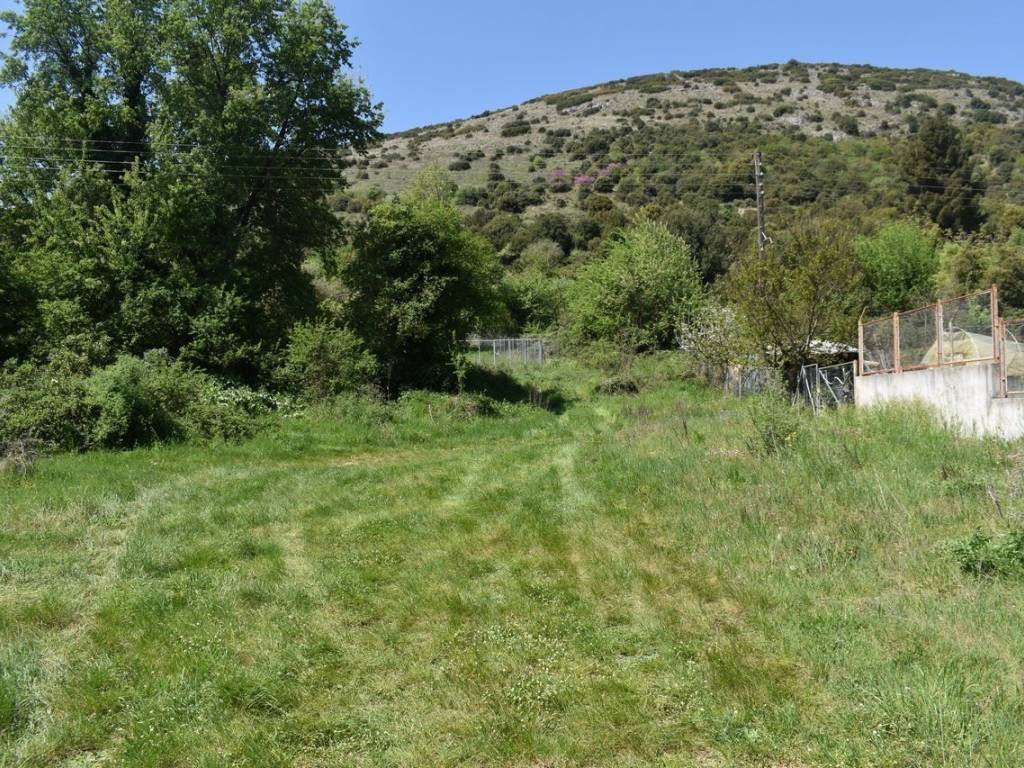 ΑΠΟΨΗ ΟΙΚΟΠΕΔΟΥ