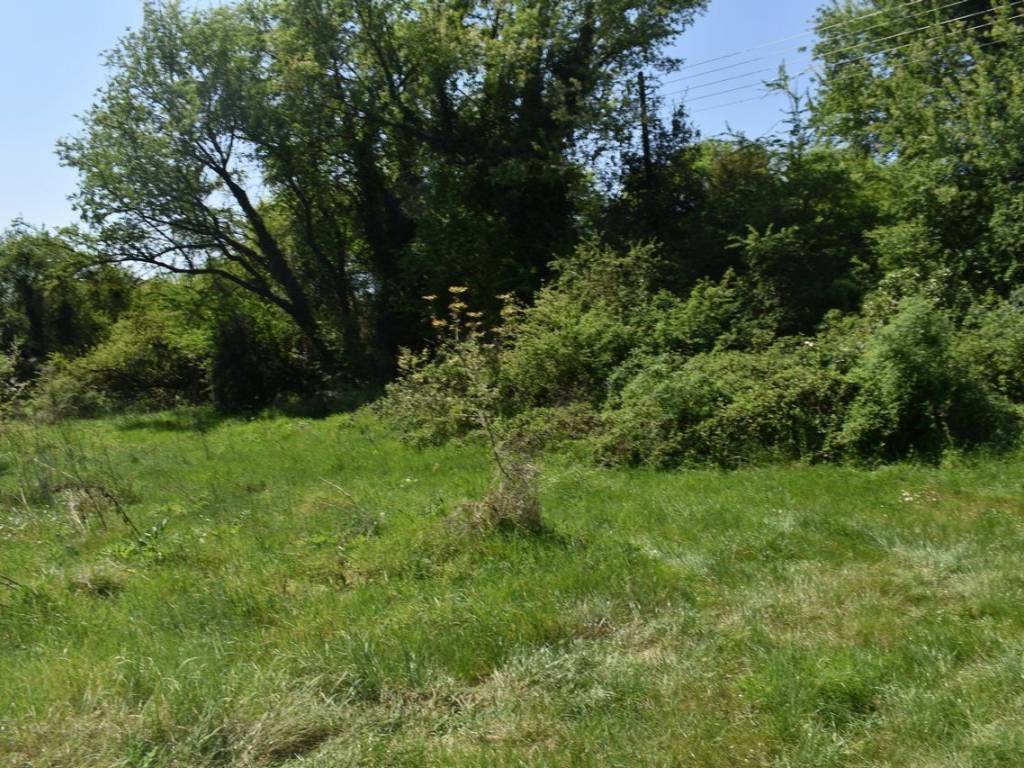 ΑΠΟΨΗ ΟΙΚΟΠΕΔΟΥ