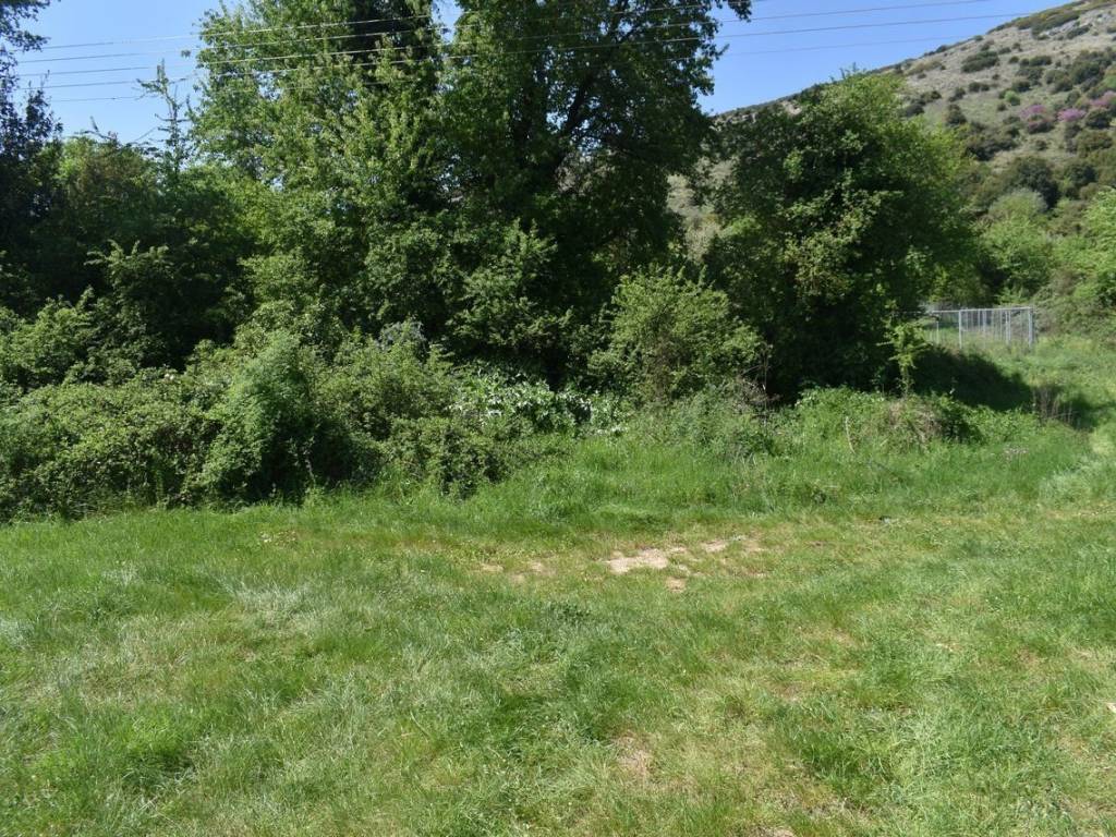 ΑΠΟΨΗ ΟΙΚΟΠΕΔΟΥ