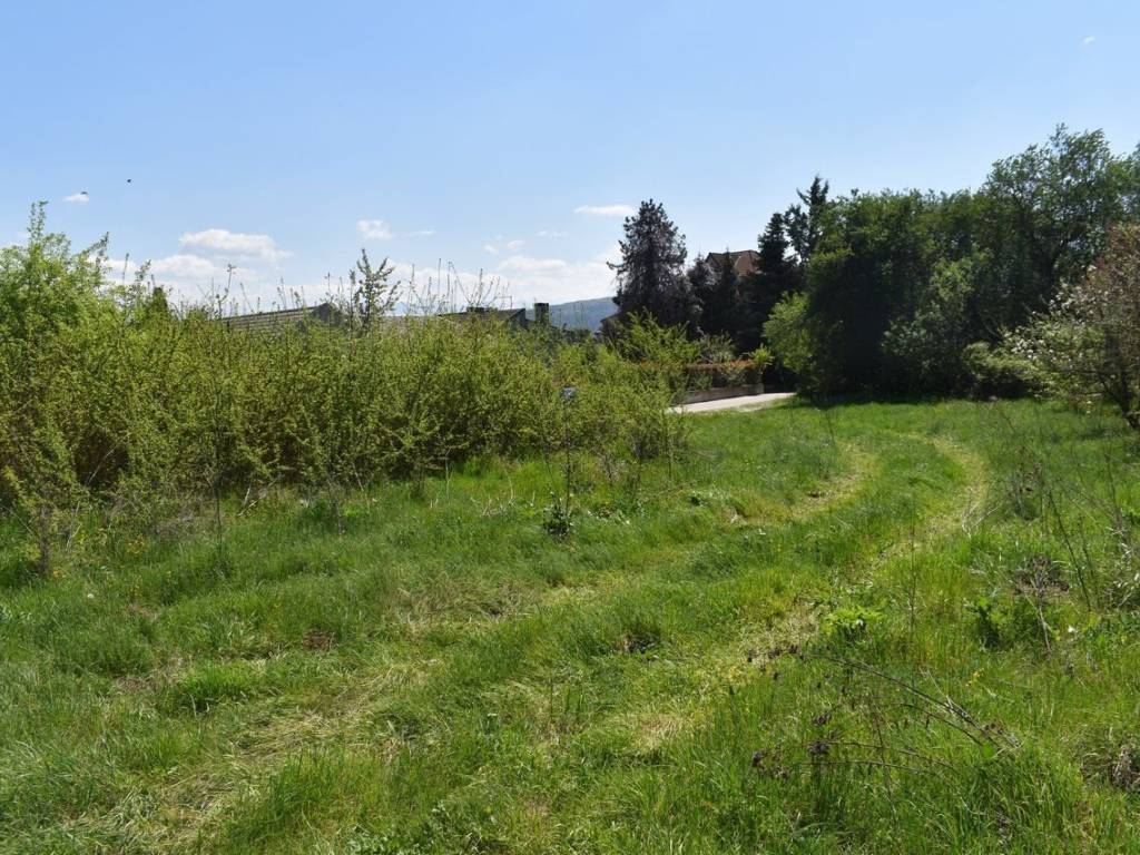 ΑΠΟΨΗ ΟΙΚΟΠΕΔΟΥ