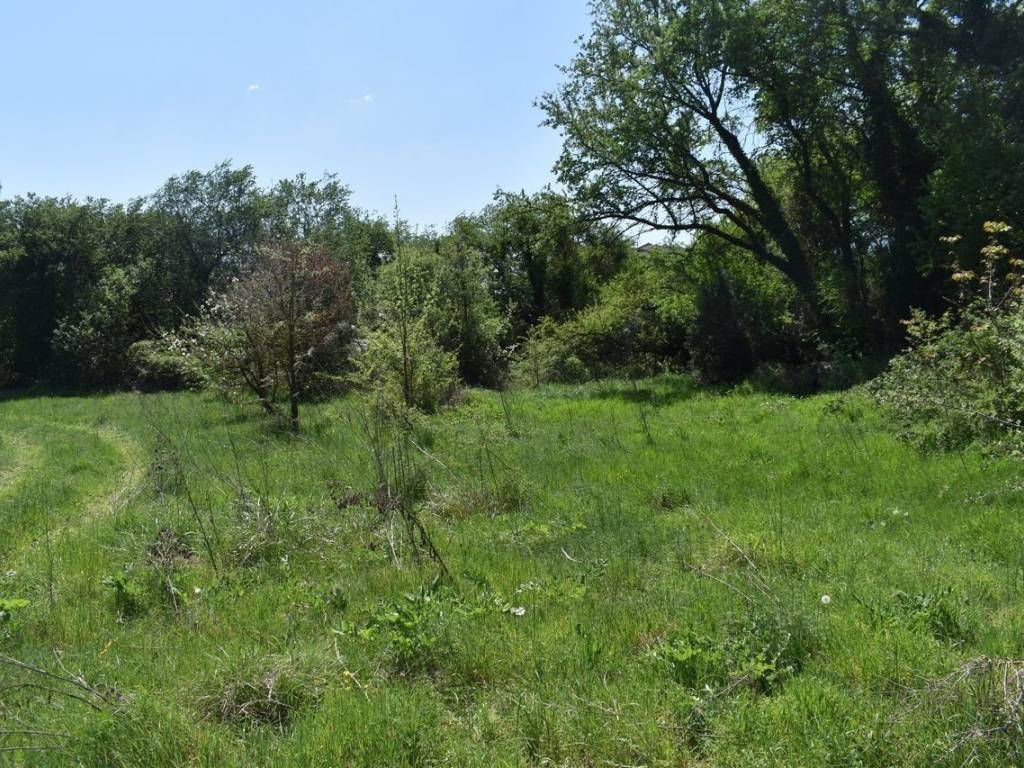 ΑΠΟΨΗ ΟΙΚΟΠΕΔΟΥ