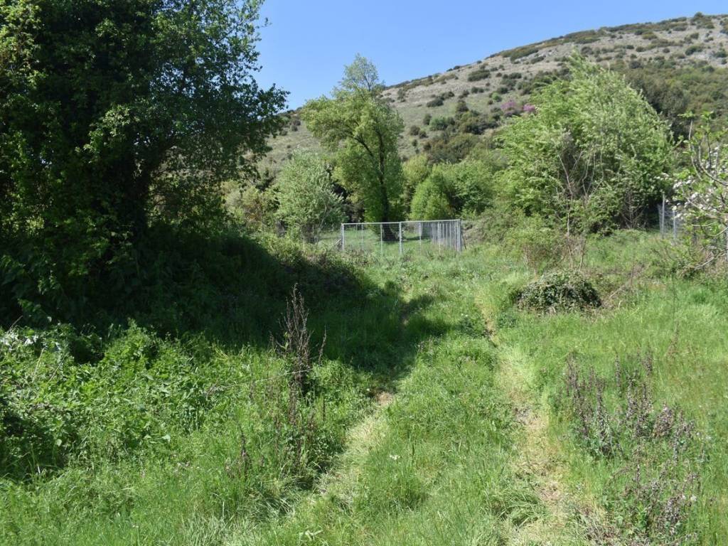 ΑΠΟΨΗ ΟΙΚΟΠΕΔΟΥ