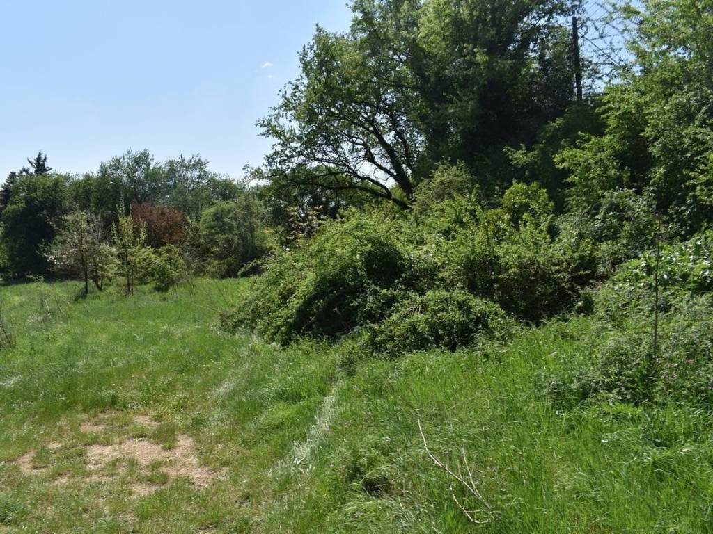 ΑΠΟΨΗ ΟΙΚΟΠΕΔΟΥ