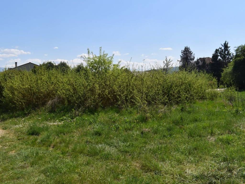 ΑΠΟΨΗ ΟΙΚΟΠΕΔΟΥ