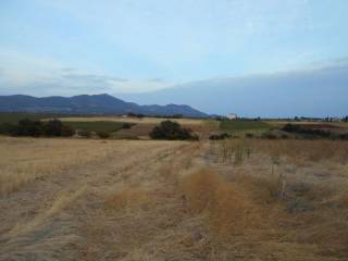 ΔΥΤΙΚΗ ΟΨΗ ΑΓΡΟΤΕΜΑΧΙΟΥ