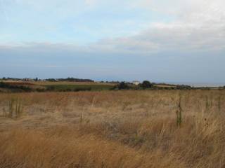 ΔΥΤΙΚΗ ΟΨΗ ΑΓΡΟΤΕΜΑΧΙΟΥ