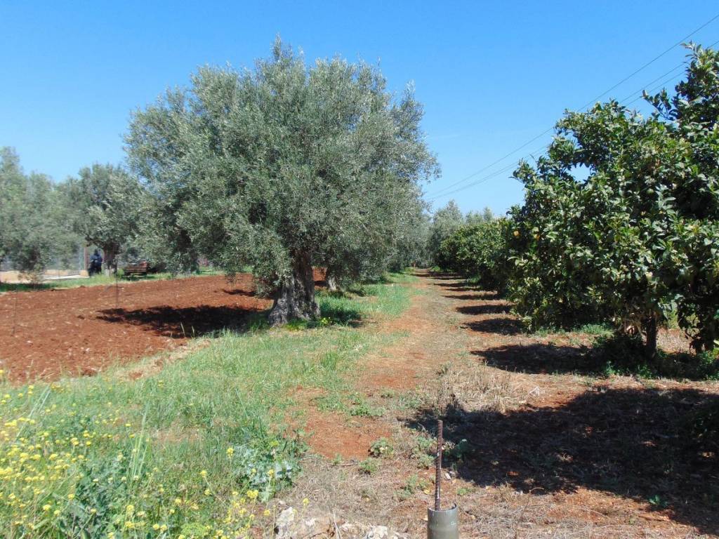 a plot of land with a sea views