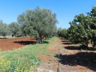 a plot of land with a sea views