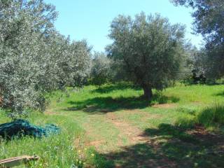 a plot of land with a sea views