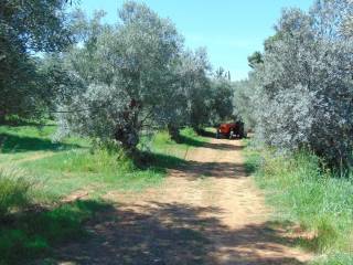 a plot of land with a sea views