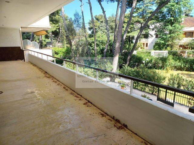 BACK VERANDA - COMMON GARDEN