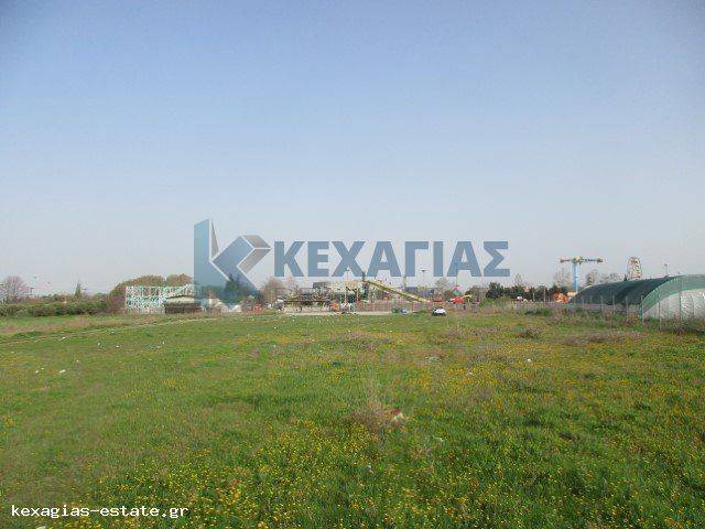 ΕΞΩΤΕΡΙΚΗ ΛΗΨΗ