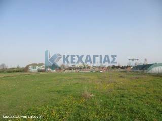 ΕΞΩΤΕΡΙΚΗ ΛΗΨΗ