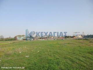 ΕΞΩΤΕΡΙΚΗ ΛΗΨΗ