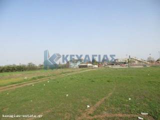 ΕΞΩΤΕΡΙΚΗ ΛΗΨΗ