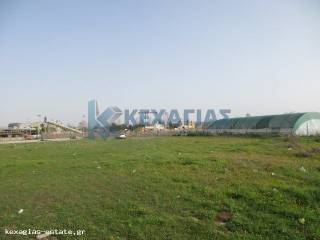 ΕΞΩΤΕΡΙΚΗ ΛΗΨΗ