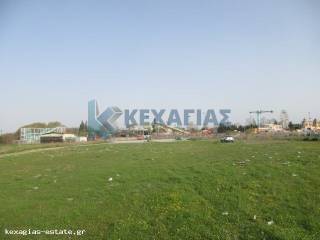 ΕΞΩΤΕΡΙΚΗ ΛΗΨΗ