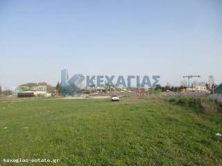 ΕΞΩΤΕΡΙΚΗ ΛΗΨΗ