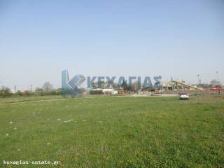 ΕΞΩΤΕΡΙΚΗ ΛΗΨΗ