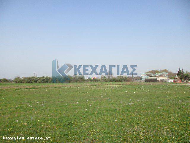 ΕΞΩΤΕΡΙΚΗ ΛΗΨΗ