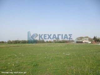 ΕΞΩΤΕΡΙΚΗ ΛΗΨΗ