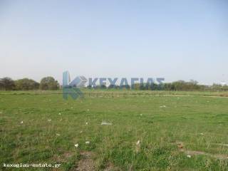 ΕΞΩΤΕΡΙΚΗ ΛΗΨΗ