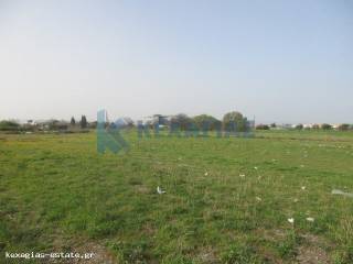 ΕΞΩΤΕΡΙΚΗ ΛΗΨΗ