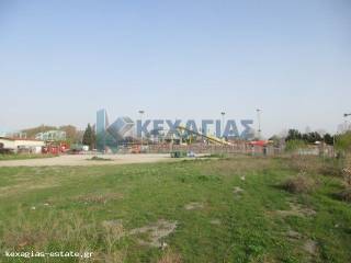 ΕΞΩΤΕΡΙΚΗ ΛΗΨΗ